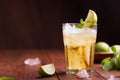 Fresh cocktail prepared with ginger beer, lime and ice Royalty Free Stock Photo