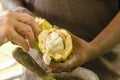 Fresh Cocoa beans being eaten from a pod