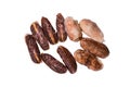 Fresh cocoa cacao beans Royalty Free Stock Photo