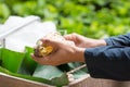 Fresh cocoa beans in the hand of a farmer