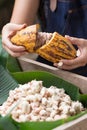 Fresh cocoa beans in the hand of a farmer Royalty Free Stock Photo