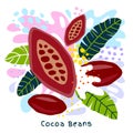 Fresh cocoa beans juice splash organic food condiment spice splatter. Spicy herbs nuts. Royalty Free Stock Photo