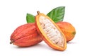 Fresh cocoa fruits with half sliced