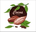 Fresh cocoa with leaf in cartoon style. Vector whole and half cocoa with fried grains isolated on a white background