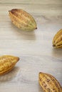 Fresh cocoa pods on table Royalty Free Stock Photo