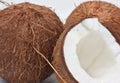 Fresh coconut Royalty Free Stock Photo