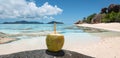 Fresh coconut drink on the beach of La Digue, Seychelles. Royalty Free Stock Photo