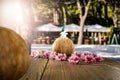 Fresh coconut drink and blurred exotic trees and outdoor restaurant background. Copy space for advertising product.