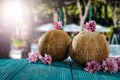 Fresh coconut drink and blurred exotic trees and outdoor restaurant background. Copy space for advertising product.