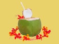 Fresh green coconut drink decoration with blooming flowers isolate on yellow background Royalty Free Stock Photo