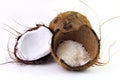 Fresh coconut flakes placed in bark and shell isolated on white background Royalty Free Stock Photo