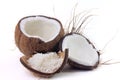 Fresh coconut flakes placed in bark and shell  on white background Royalty Free Stock Photo