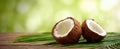 The Fresh Coconut Halves Resting on a Leafy Background with Natural Light AI generated image Royalty Free Stock Photo