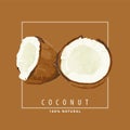 Fresh coconut illustration