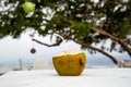 Fresh Coconut Ready To Drink