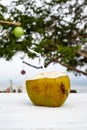 Fresh Coconut Ready To Drink