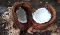 Fresh coconut split