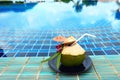 Fresh Coconut from tree ready to drink with straw, place nicely Royalty Free Stock Photo