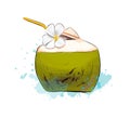 Fresh coconut tropical cocktail with straws from splash of watercolors, colored drawing, realistic