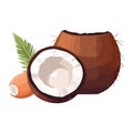 Fresh coconut a tropical summer drink Royalty Free Stock Photo