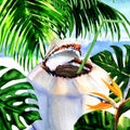 Fresh coconut water drink with straw on tropical sandy beach with palm trees, monstera leaves, bird of paradise flower Royalty Free Stock Photo