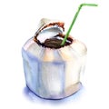 Fresh coconut water drink with straw, watercolor illustration on white Royalty Free Stock Photo