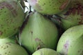 Fresh coconuts from the farm in Indonesia Royalty Free Stock Photo