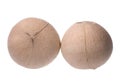 Fresh Coconuts Isolated