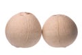 Fresh Coconuts Isolated Royalty Free Stock Photo
