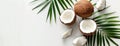 Fresh Coconuts and Palm Leaves on White Background Royalty Free Stock Photo