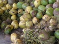 Fresh Coconuts, Puerto Rico