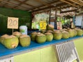 Coconuts for sale at fruit market in Thailand Royalty Free Stock Photo