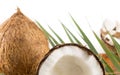 Fresh coconuts in varios forms Royalty Free Stock Photo