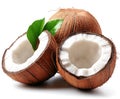 Fresh coconuts with white interior and green leaves Royalty Free Stock Photo