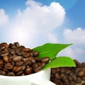 Fresh Coffee Royalty Free Stock Photo