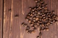 Fresh coffee bean on brown wood Royalty Free Stock Photo