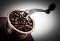 Fresh Coffee Bean And Coffee Bean Grinder Closeup Royalty Free Stock Photo