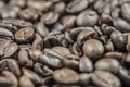 Fresh Coffee Beans Close Up Royalty Free Stock Photo