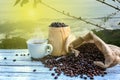 Fresh coffee beans in the farm Royalty Free Stock Photo