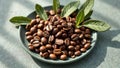 Fresh coffee beans and green leaves on a ceramic plate in sunlight Royalty Free Stock Photo