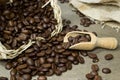 Fresh coffee beans with scoop Royalty Free Stock Photo