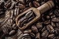 Fresh coffee crops in scoop on wooden board Royalty Free Stock Photo