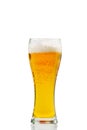 Fresh cold Beer glass isolated on white. gold beer bavaria oktoberfest with foam crown. pint of light lager beer on