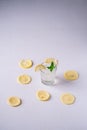 Fresh cold clear water drink in glass with ice cubes, lemon slice and mint leaf close to lemon slices Royalty Free Stock Photo