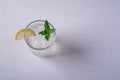 Fresh cold clear water drink in glass with ice cubes, lemon slice and mint leaf Royalty Free Stock Photo