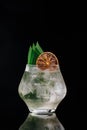 fresh cold cocktail with gin ice cube orange chips on black background