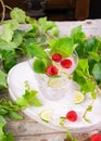 Fresh cold drink water, ice cubes, peppermint, lime, raspberry on a rustic table. Outdoor summer garden party, still life Royalty Free Stock Photo