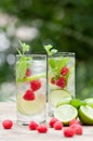 Fresh cold drink water ice cubes peppermint lime raspberry Royalty Free Stock Photo
