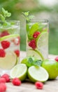 Fresh cold drink water ice cubes peppermint lime raspberry Royalty Free Stock Photo