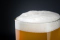 Fresh and cold glass craft beer with white foam on top on black background with space for text. Foamy wheat or lager beer on dark Royalty Free Stock Photo